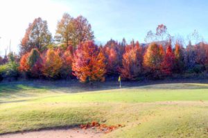 Quail Creek Golf Course, Golf Courses in St. Louis, MO