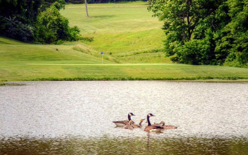 Railwood Golf Club, golf courses in Jefferson City, Missouri