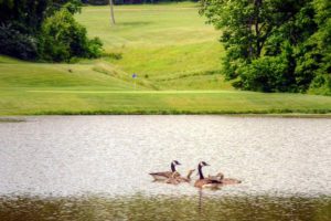 Railwood Golf Club, golf courses in Jefferson City, Missouri