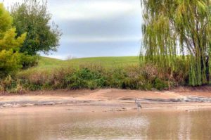 Rivercut Municipal Golf Course , Springfield, Missouri