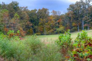 Royal Oaks Golf Course, Whiteman Air Force Base