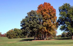 Salisbury Municipal Golf Course