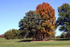 Salisbury Municipal Golf Course