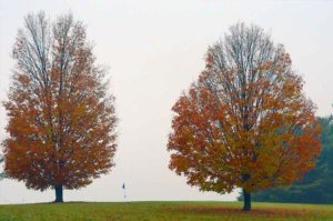 Shirkey Golf Club, Golf Courses in Richmond, Missouri