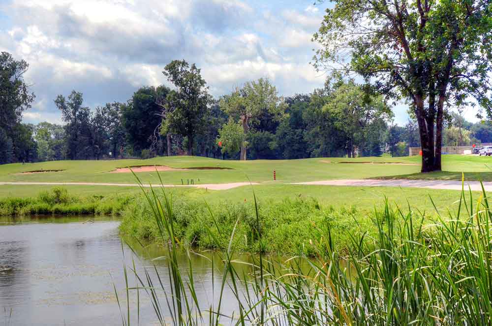 St. Peters Golf Course Saint Peters MO Cottontail