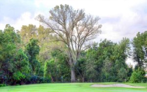 St. Ann International Golf Course, St. Louis, Missouri