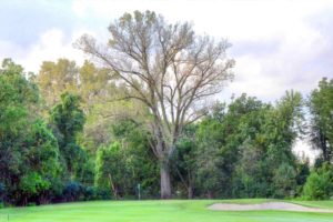 St. Ann International Golf Course, St. Louis, Missouri