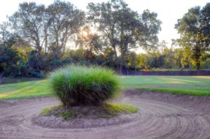 St. Ann International Golf Course, St. Louis, Missouri