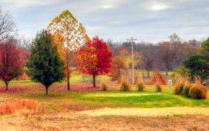 St. James Golf Club, St. James Golf Courses