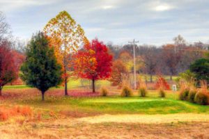 St. James Golf Club, St. James Golf Courses