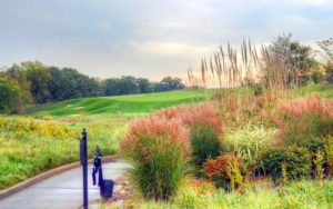 Staley Farms Golf Club, Golf Courses in Kansas City, Missouri