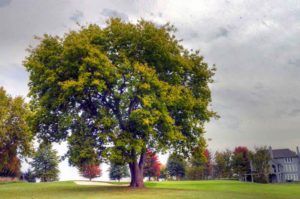 Staley Farms Golf Club, Golf Courses in Kansas City, Missouri  