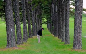 Ste. Genevieve Golf Club, Ste. Genevieve Golf Courses