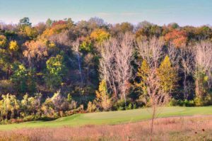 Stone Canyon Golf Club, Golf Courses in Blue Springs, Missouri 