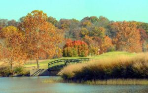 Tapawingo National Golf Club, Best Golf Courses in St. Louis, Missouri