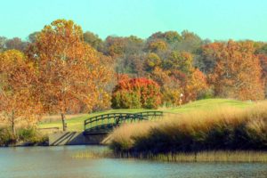 Tapawingo National Golf Club, Best Golf Courses in St. Louis, Missouri