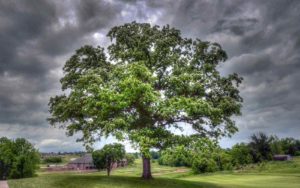 The Club at Old Hawthorne. Best Golf Courses in Columbia, Missouri