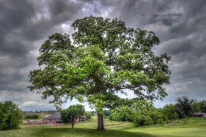 The Club at Old Hawthorne. Best Golf Courses in Columbia, Missouri