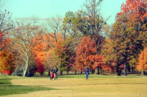 The Courses at Forest Park, Best Public Golf Courses in St. Louis, MO