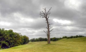 The Golf Club at Deer Chase, Lake of the Ozarks, Missouri, Lake of the Ozarks Golf Courses