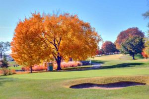 Highlands Golf and Tennis Center, Green and yellow tree during the Fall