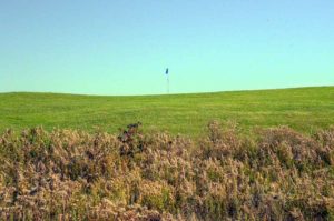 The Posse - Paradise Pointe Golf Complex, Smithville, Missouri