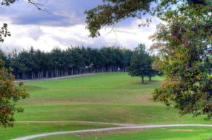 Three Pines Golf Course. Golf Courses in Ewing