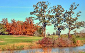 Twin Lakes Golf Course, Golf Courses in Kahoka, Missouri