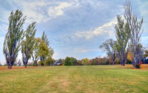 Vandalia Country Club | Best Golf Courses in Vandalia, Missouri