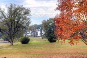 Vandalia Country Club | Best Golf Courses in Vandalia, Missouri