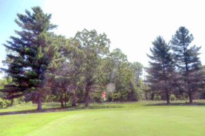 Wedgewood Country Club. Golf Courses in Cabool