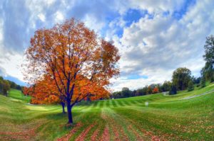 Westwood Country Club, Best Golf Courses in St. Louis, Missouri 