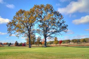 Whispering Oaks Golf Course, Marshfield, Missouri golf courses