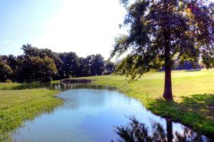 Woods Fort Golf Course | Best Golf Courses in Troy, Missouri